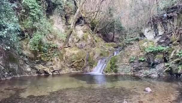 Mini Wasserfall Mit Kleinem See Klarem Wasser Landschaft — Stockvideo