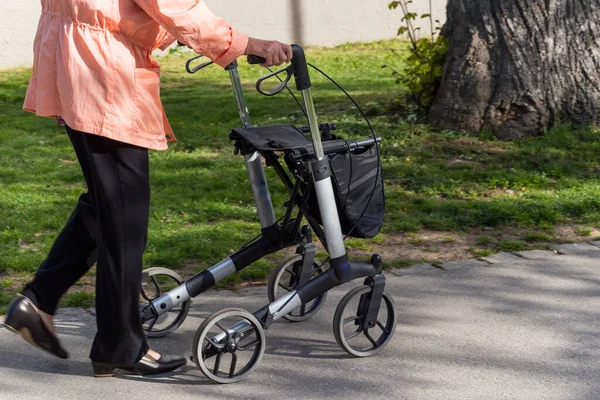 Señora Adulta Camina Con Rollator Parque Día Soleado Alemania — Foto de Stock