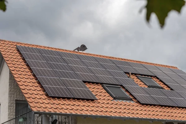 Nueva Área Construcción Con Panel Solar Azotea Sur Alemania Verano Imagen De Stock