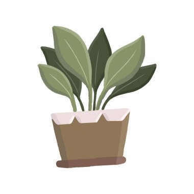 Çağdaş bir oturma odasındaki bir rafta çeşitli sulu bitkiler ve ev bitkileri de dahil olmak üzere saksılardaki dekoratif bitkiler.