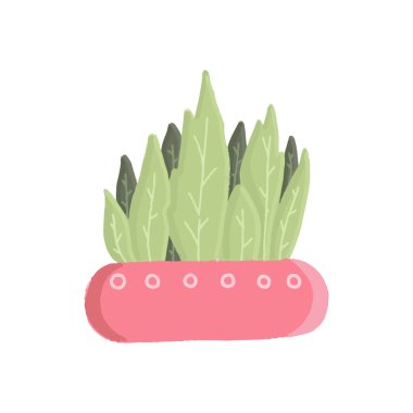 Beyaz arka planda, eğrelti otları ve yılan bitkileri de dahil olmak üzere saksı bitkilerinin el çizimi sanatı.