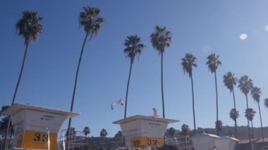 Cankurtaran standı veya Cankurtaran Kulesi kulübesi, Kaliforniya sahilinde sörf güvenliği, ABD. Yaz Pasifik Okyanusu estetiği. Kurtarma istasyonu, sahil cankurtaranları Wachtower ya da ev, La Jolla, San Diego 'daki palmiye ağaçları.