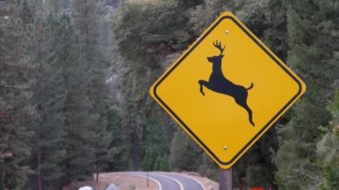 Geyik uyarı sarı işareti, California USA. Vahşi hayvanlar trafik işaretlerini aşarak yolda güvenli sürüş yapıyorlar. Yosemite Ulusal Park Ormanı 'ndaki arabalardan vahşi yaşam koruma alanı. Yolculuk konsepti