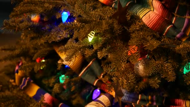 Garland Lights Mexican Christmas Tree Berwarna Dekorasi Etnis Liburan Musim — Stok Video
