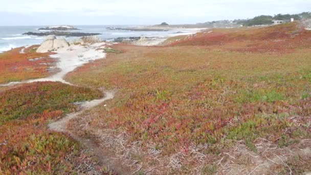 Живописная Мильная Дорога Монтери Калифорния Сша Скалистый Крапчатый Океан Морские — стоковое видео