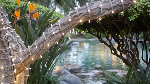 Pond Fishpond Water Fairy Garden Garland Lights Glowing Trees Magic — Stock Video
