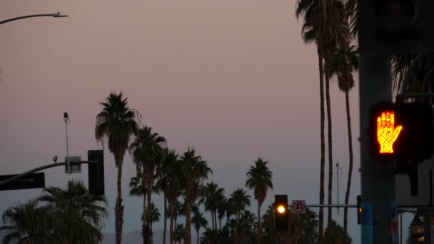 Palmeras Cielo Calle Palm Springs Ciudad Cerca Los Ángeles Semáforo — Vídeos de Stock