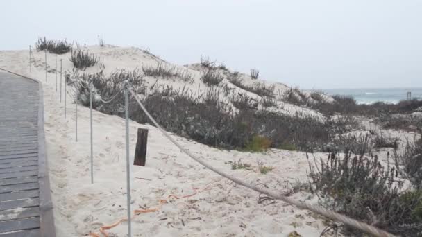 Ocean Beach Piaszczyste Wydmy Monterey Natura California Mgliste Wybrzeże Usa — Wideo stockowe