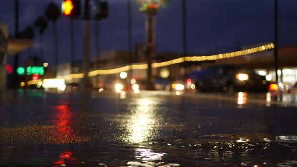 Voitures Lumières Réflexion Sur Route Par Temps Pluvieux Des Gouttes — Video