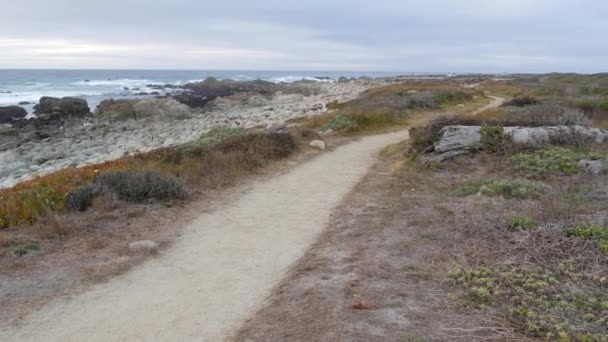 岩に衝突する海の波 17マイルのドライブ カリフォルニア州モントレー ポイント ロボス ビッグサー ペブルビーチの近くの自然 曇った天気 歩道または歩道 — ストック動画
