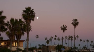Kaliforniya 'da alacakaranlık gökyüzünde palmiye ağaçları siluetleri ve dolunay. Sahildeki palmiyeler akşam atmosferinde dolunayda Pasifik Okyanusu kıyısında alacakaranlıkta. Evlerin veya evlerin pencereleri.