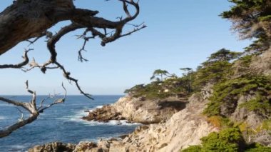 Çıplak ölü yapraksız selvi ağacı, kayalık okyanus kıyısı, mavi su dalgaları ve cansız çam. Sahne 17 mil sürüş, Point Lobos, Big Sur ve Pebble Beach, Kaliforniya ABD yakınlarında Monterey doğa. Deniz Burnu