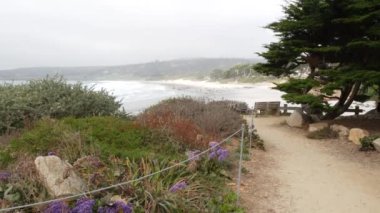 Boş ahşap bank, patikada dinlenme, yürüyüş yolu ya da patika. Carmel Sahili, Monterey Okyanus Kıyısı, Kaliforniya Sahili, ABD. Deniz dalgaları çarpıyor. Rıhtım kıyısı çam ağacı. Yol ya da yaya yolu.