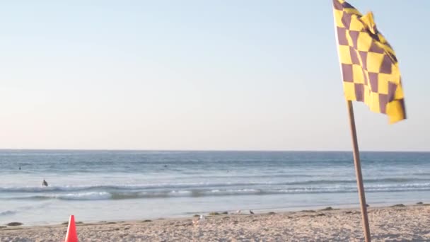 Bandiera Nera Gialla Scacchi Con Onde California Ocean Beach Usa — Video Stock