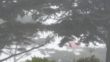 Pinos eski tarihi deniz feneri mercekleri parlıyor, sisli yağmurlu kötü hava. Aydınlatılmış antika ışık evi ya da fener kulesi, sisli selvi çam ağacı ormanı. Monterey, Kaliforniya kıyısı ABD