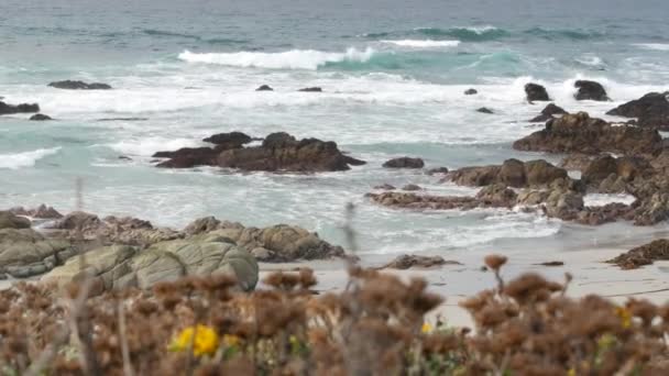 Rocky Craggy Pacific Ocean Coast Sea Water Waves Crashing Rocks — Vídeo de stock