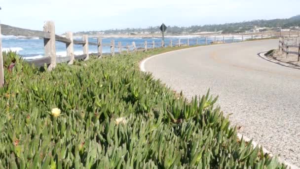 17マイルのドライブ風光明媚な道路 モントレー カリフォルニア州 海に沿って旅行 海の波 ポイント ロボス ビッグサー ペブルビーチ近くの太平洋沿岸高速道路の観光ルート フェンスと多肉植物の緑 — ストック動画