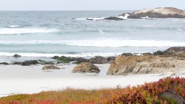 场景17英里驱动 蒙特里 加利福尼亚州 落石汹涌澎湃的海洋 海浪冲击着岩石 太平洋海岸高速公路 靠近洛沃斯角的野生大自然 大苏尔和卵石海滩 糖果冰植物 — 图库视频影像