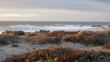 Rocky, Pasifik Okyanusu kıyısı, deniz dalgası çarpması, 17 mil sürüş, Monterey, California USA. Point Lobos, Big Sur, Pebble plajı yakınlarında dramatik günbatımı doğası. Kuşlar uçuyor. Kusursuz döngülü görüntü grafiği.