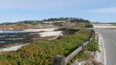 Monterey, Kaliforniya 'da 17 millik manzaralı yol. Okyanus kıyısı boyunca yolculuk. Point Lobos, Big Sur ve Pebble plajı yakınlarındaki Pasifik kıyısı turizm rotası. Çit ve sulu buz bitkisi yeşilliği.