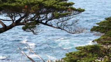 Kayalık okyanus kıyıları ve selvi koruluğu, mavi su dalgaları ve kozalaklı çam ağacı ormanı, manzara 17 mil sürüş Point Lobos, Big Sur ve Pebble Beach, California USA yakınlarındaki Monterey doğası. Deniz Burnu