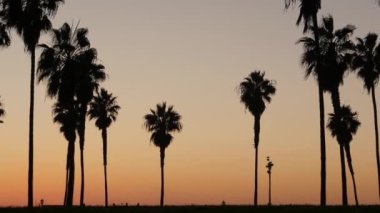 Turuncu ve mor gökyüzü, Kaliforniya sahillerinde, gün batımında, plajda palmiye ağaçlarının siluetleri. San Diego 'daki sahil parkı, Mission plaj tatil beldesi. İnsanlar akşam karanlığında yürüyorlar.
