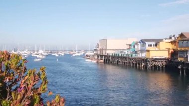 Yığınlar ya da sütunlar üzerindeki renkli ahşap evler, okyanus koy ya da liman, deniz suyu. Old Fishermans Rıhtımı. Kaliforniya, Monterey Marina 'da yatlar, yelkenli tekneleri. Turist sahili gezisi, çiçekler..