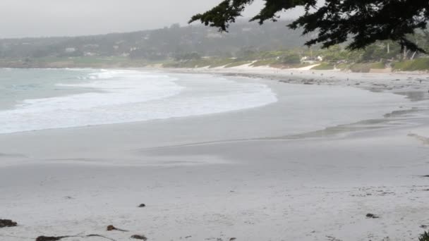 Ocean Piaszczysta Plaża Carmel Monterey Bay Natura Wybrzeże Kalifornii Usa — Wideo stockowe