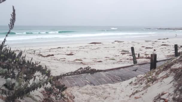 Ocean Beach Sandy Dunes Monterey Nature California Misty Coast Eua — Vídeo de Stock