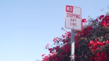 California City Caddesi, ABD 'de yol kenarında zaman tabelasında durmak yok. Bougainvillea bitkisinin kırmızı çiçekleri, kırmızı çiçek ya da çiçek, mavi gökyüzü. Amerika 'da trafik işaretleri yok. Yolculuk
