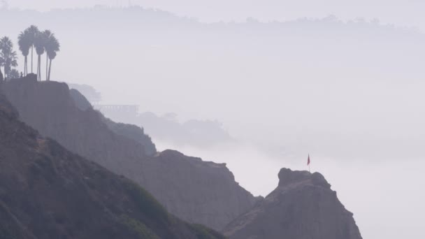 陡峭而不稳定的悬崖 岩石或悬崖 多雾的天气 加利福尼亚海岸侵蚀 托里松树侵蚀峭壁忽视观点 朦胧的白色空气 雾气或烟雾中的棕榈树 在淤泥中能见度低 — 图库视频影像