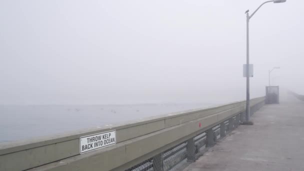 美国加利福尼亚州雾蒙蒙的海岸上的木制海滨码头 圣地亚哥海岸多雾的多云天气 平静安静的氛围 在阴郁压抑的戏剧性薄雾中的海滨木板路 — 图库视频影像