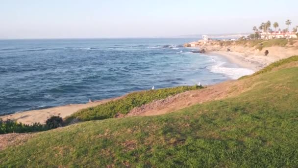 Ocean Waves Crashing Beach Sea Water Surface Eroded Cliff Jolla — 비디오