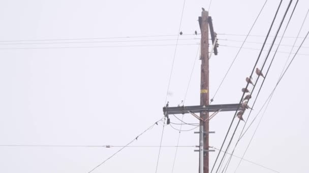 Mroczna Mgła Amerykańskiej Ulicy Miejskiej Mglista Mgła Zachmurzona Pogoda Kalifornii — Wideo stockowe