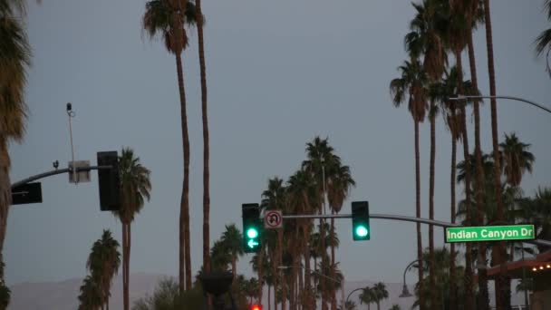 Palmeiras Rua Palm Springs Cidade Perto Los Angeles Semáforo Semáforo — Vídeo de Stock