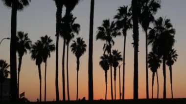 Turuncu ve mor gökyüzü, Kaliforniya sahillerinde, gün batımında, plajda palmiye ağaçlarının siluetleri. San Diego 'daki sahil parkı, Mission plaj tatil beldesi. İnsanlar akşam karanlığında yürüyorlar.