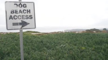 San Diego, Kaliforniya 'daki Coronado Adası' nda köpek dostu sahil yolu tabelası. Okyanus kıyısında evcil hayvanla yürümek için bir alan. Kıyıdaki rıhtım güvertesi, köpek sahipleri için sahil bölgesi..