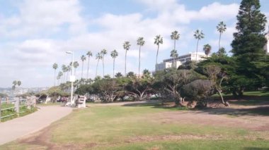 Şehir parkındaki palmiye ağaçları, La Jolla 'daki Rocky Point, San Diego, California sahilleri, ABD. Rıhtım ya da palmiye ağaçlarıyla dolu bir sahil yolu. Tahta kaldırımlı, tropik yaz yeşilliği. Mavi gökyüzü ve bulutlar