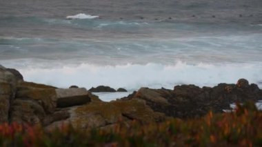 Rocky pasifik okyanus kıyıları, kayalara vuran deniz dalgaları, 17 mil sürüş, Monterey California USA. Point Lobos, Big Sur, Pebble plajı yakınlarındaki kasvetli dramatik doğa. Kuşlar uçuyor, yağmurlu bir hava.