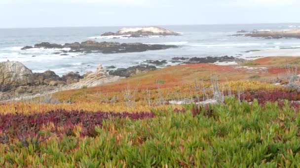 Живописная Мильная Дорога Монтери Калифорния Сша Скалистый Крапчатый Океан Морские — стоковое видео