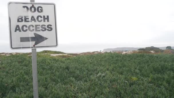 Señal Carretera Acceso Playa Para Perros Isla Coronado San Diego — Vídeos de Stock