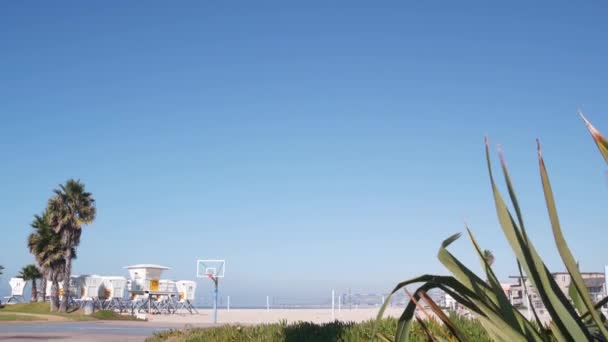 ライフガードスタンドとヤシの木 カリフォルニアビーチでサーフィンするためのライフガードタワー アメリカの夏の太平洋の美しさ 象徴的な救助ベイウォッチ駅 海岸のライフセーバーは海でタワー小屋や家を見ます — ストック動画
