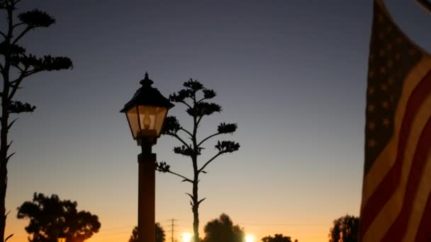 Succulenta Pannocchia Fiori Agave Lanterna Vintage Bandiera Americana Sventolante California — Video Stock