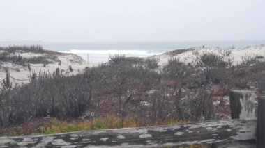 Okyanus kumlu kum tepeleri, Monterey doğası, California sisli kıyıları, ABD. Sisli yağmurlu sonbahar ya da kış havası, gri bulutlu gökyüzü. Kıyıdaki patika, soğuk deniz dalgalarının yanında. Moody sakin sakin atmosfer.