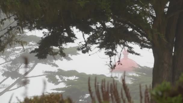 皮诺斯角古老的历史灯塔壁画镜头闪烁着光芒 多雾的雨坏天气 明亮的复古灯塔或灯塔塔 雾蒙蒙的柏树林 美国加利福尼亚蒙特里 — 图库视频影像