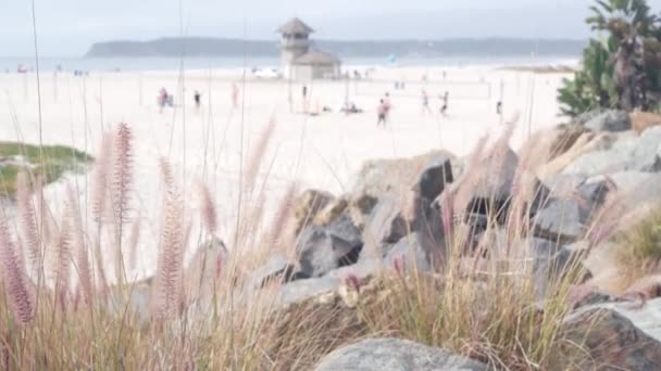 Lidé Hrají Volejbal Písečné Pláži Kalifornské Pobřeží Usa Stojan Pro — Stock video