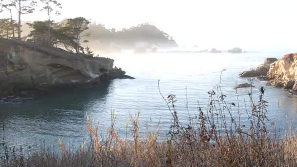 바닷물 Big Sur 로보스 Point Lobos 캘리포니아 몬테레이 활기차게 흐르는 — 비디오