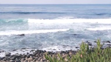 Okyanus dalgaları sahile çarpıyor, yukarıdan deniz suyu yüzeyi, uçurum ya da kayalık, La Jolla sahili, California USA. Pasifik kıyılarındaki sulu yeşil buz bitkisi. Deniz burnu doğal arka plan, çakıl taşı ya da taş