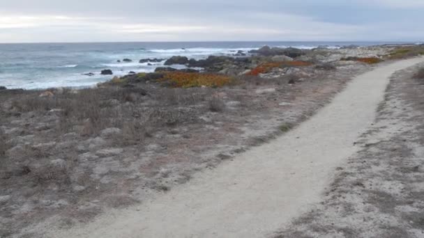 岩に衝突する海の波 17マイルのドライブ カリフォルニア州モントレー ポイント ロボス ビッグサー ペブルビーチの近くの自然 曇った天気 歩道または歩道 — ストック動画