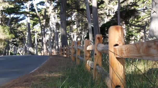 17マイルのドライブ風光明媚な道路 モントレー半島 カリフォルニア州 アメリカ ヒノキの木の森 針葉樹常緑松の森 森や森を介して道路の旅 ビッグサー近くの太平洋沿岸高速道路観光ルート — ストック動画